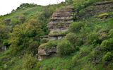 Галичья гора, image of landscape/habitat.