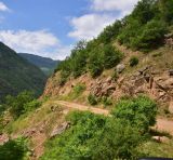 Image of landscape