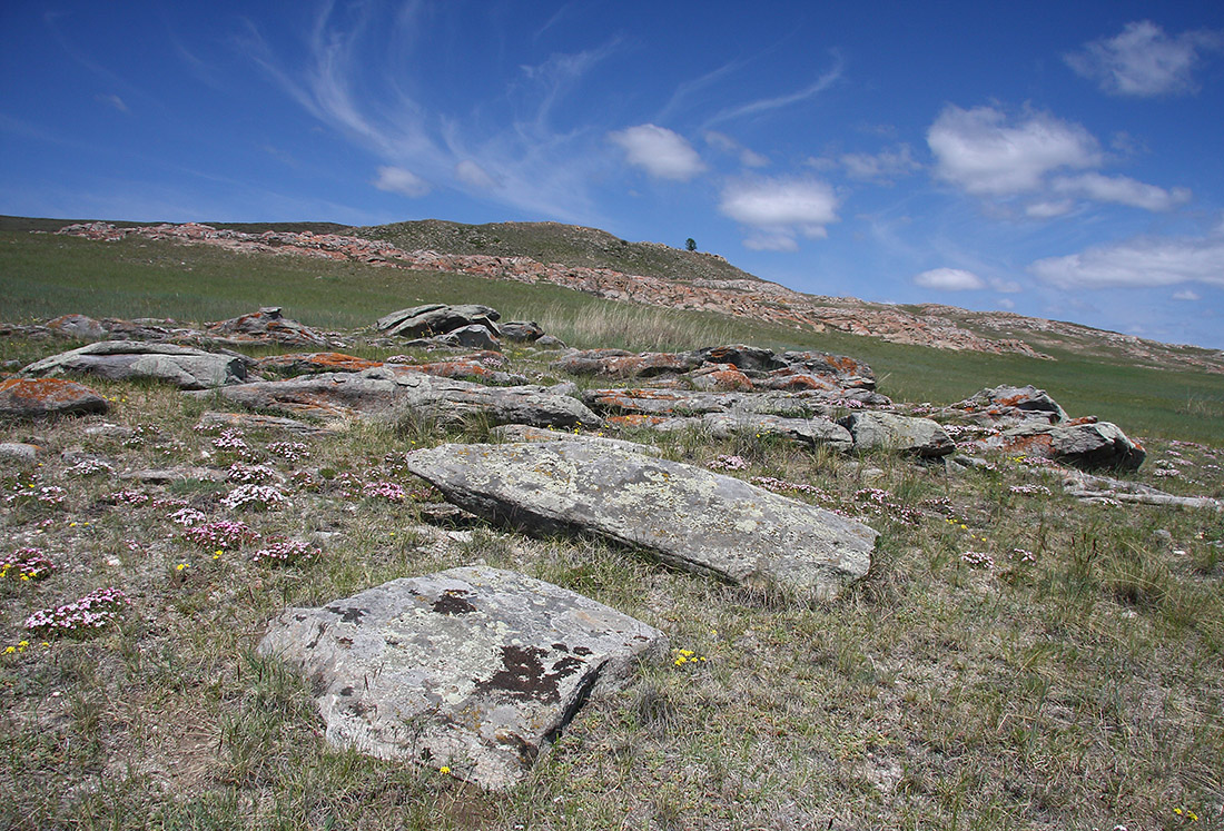 Озеро Холбо-Нур, image of landscape/habitat.