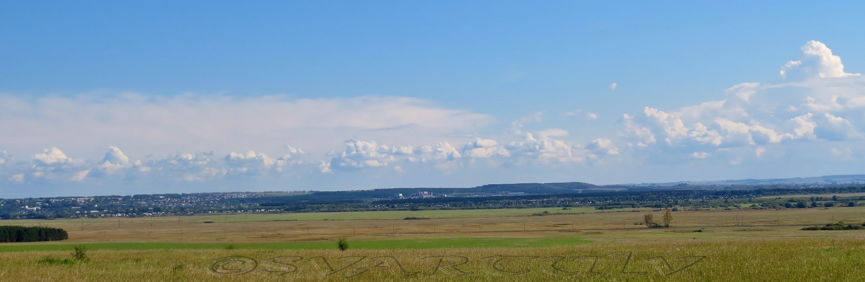 Пойма реки Малый Бачат, image of landscape/habitat.