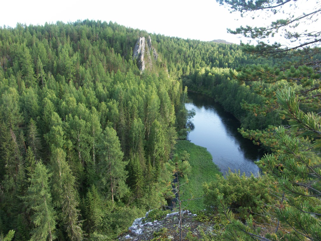 река Ивдель, изображение ландшафта.