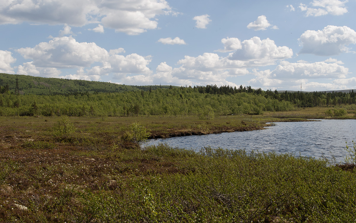 Озеро Кильдинское, image of landscape/habitat.