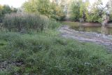 Image of landscape