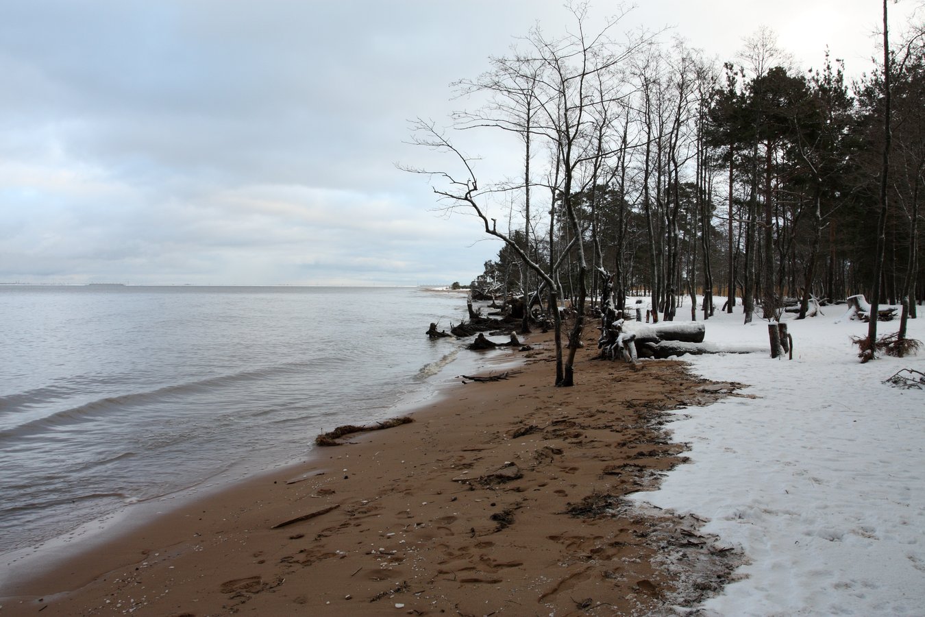 Погода в большой ижоре. Большая Ижора озеро. Большая Ижора Ломоносовский район. Поселок большая Ижора Ленинградская область. Поселок большая Ижора Ломоносовский район пляж.