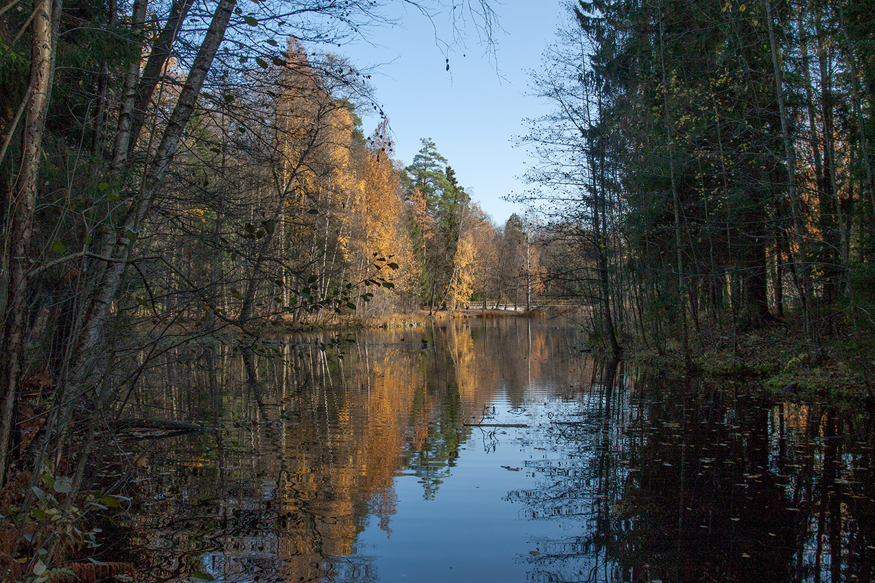 Парк "Сергиевка", image of landscape/habitat.