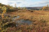 Image of landscape