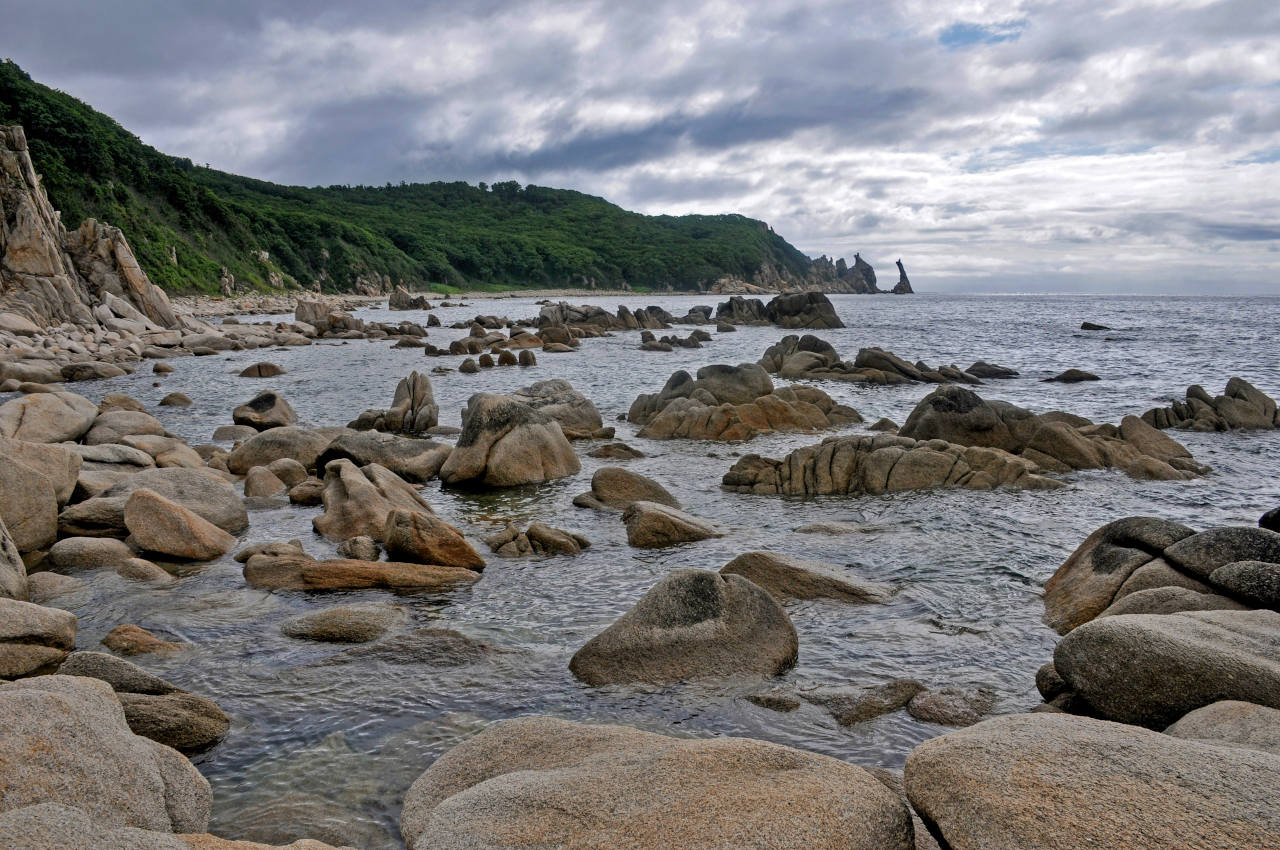 Мыс Лапласа, image of landscape/habitat.