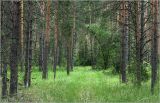 Image of landscape