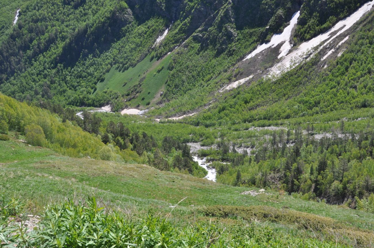 Долина реки Донгуз-Орун, image of landscape/habitat.