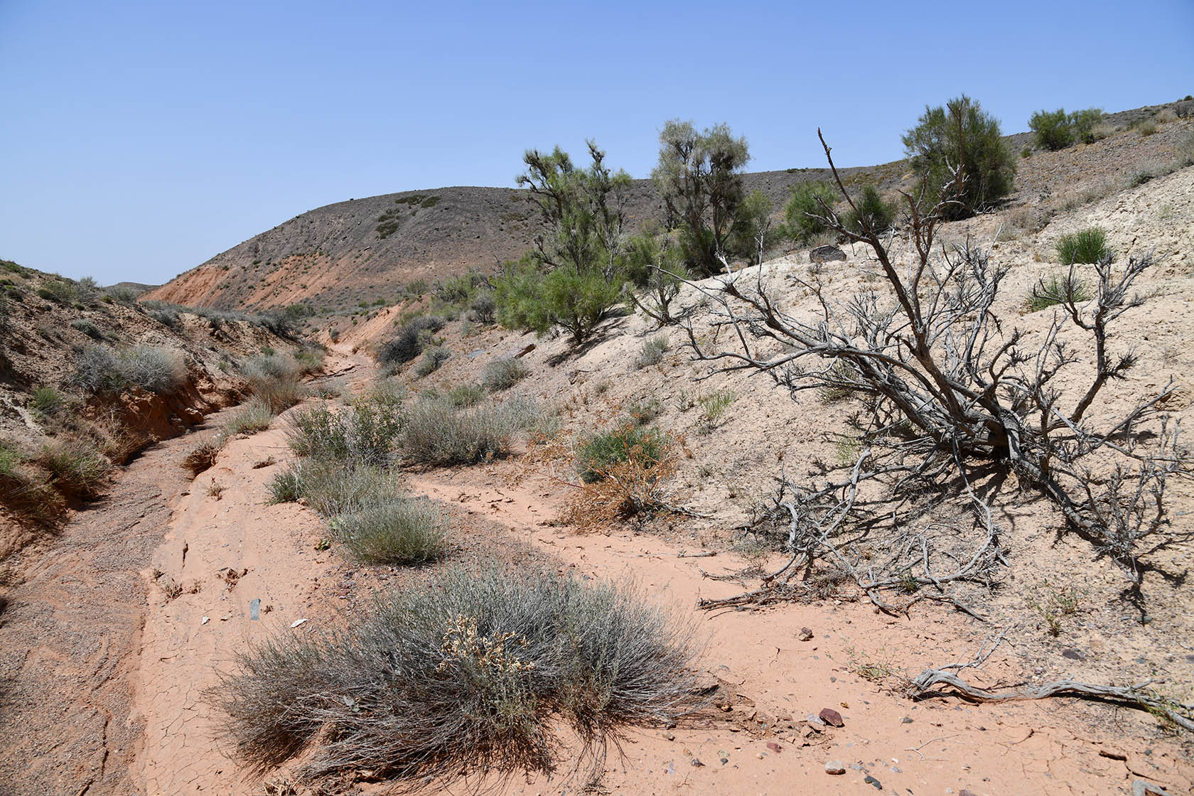 Бала-Богуты, image of landscape/habitat.