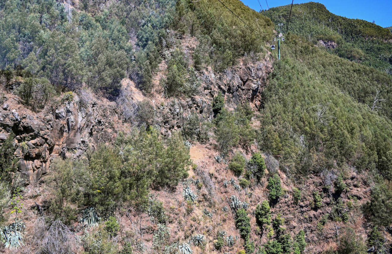 Фуншал, image of landscape/habitat.