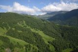 Верховья Хашелдойахк, image of landscape/habitat.