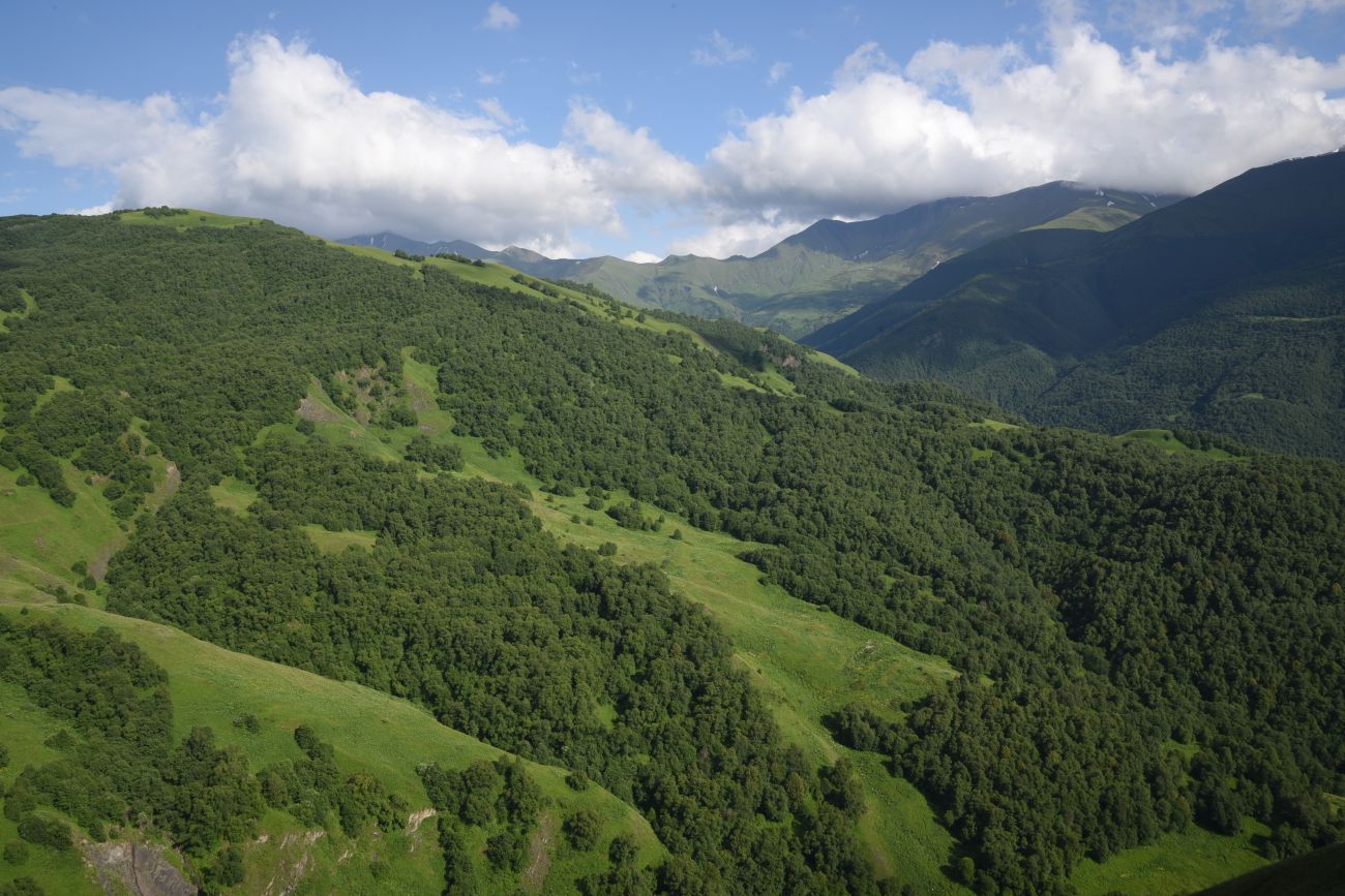 Верховья Хашелдойахк, image of landscape/habitat.