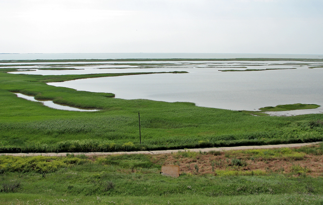 Еланчанский под, image of landscape/habitat.