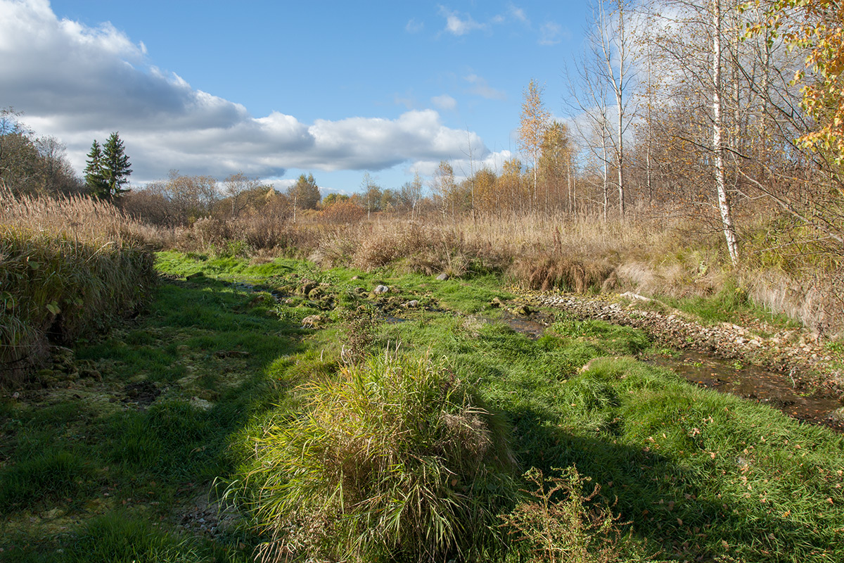 Окрестности Пудости, image of landscape/habitat.