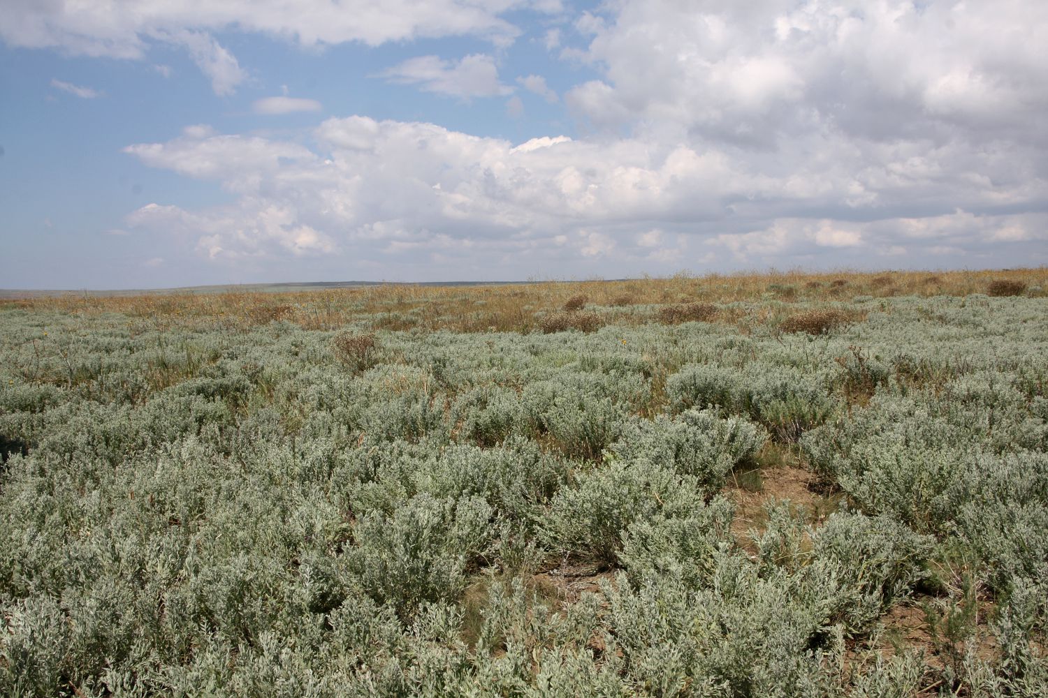 Окр. Яковенково, image of landscape/habitat.