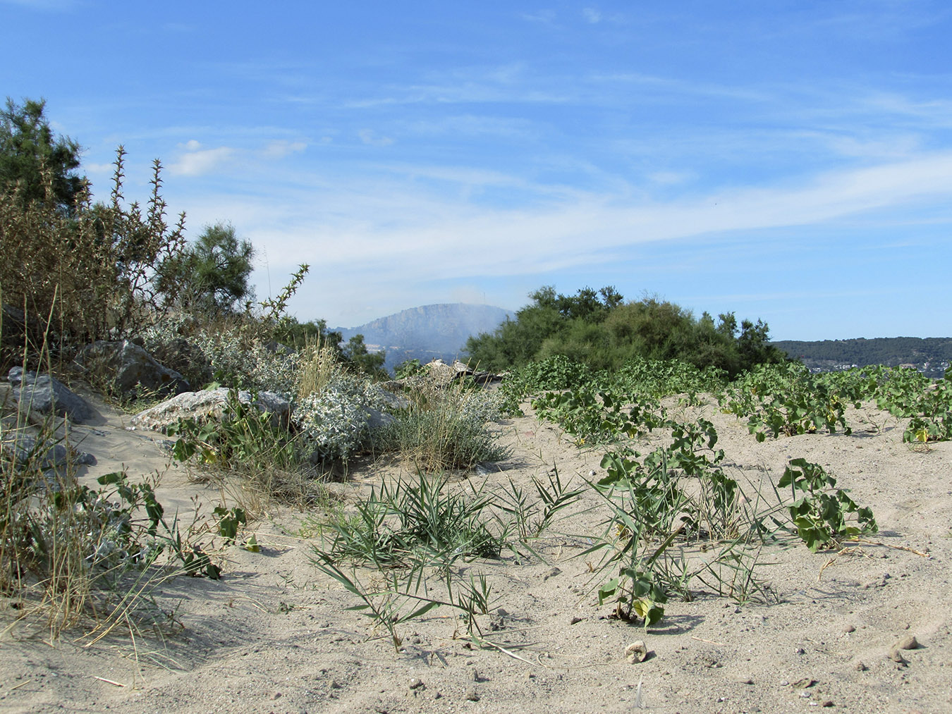 Низовья реки Тер, image of landscape/habitat.