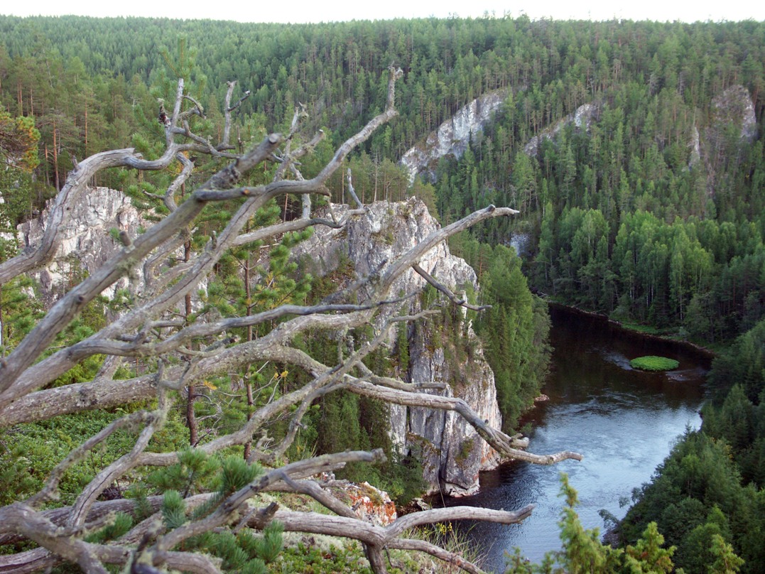 река Ивдель, изображение ландшафта.