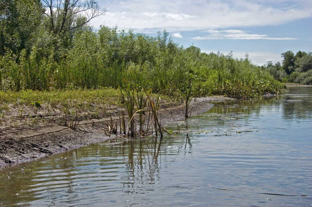 Окрестности урочища Кокуй, image of landscape/habitat.