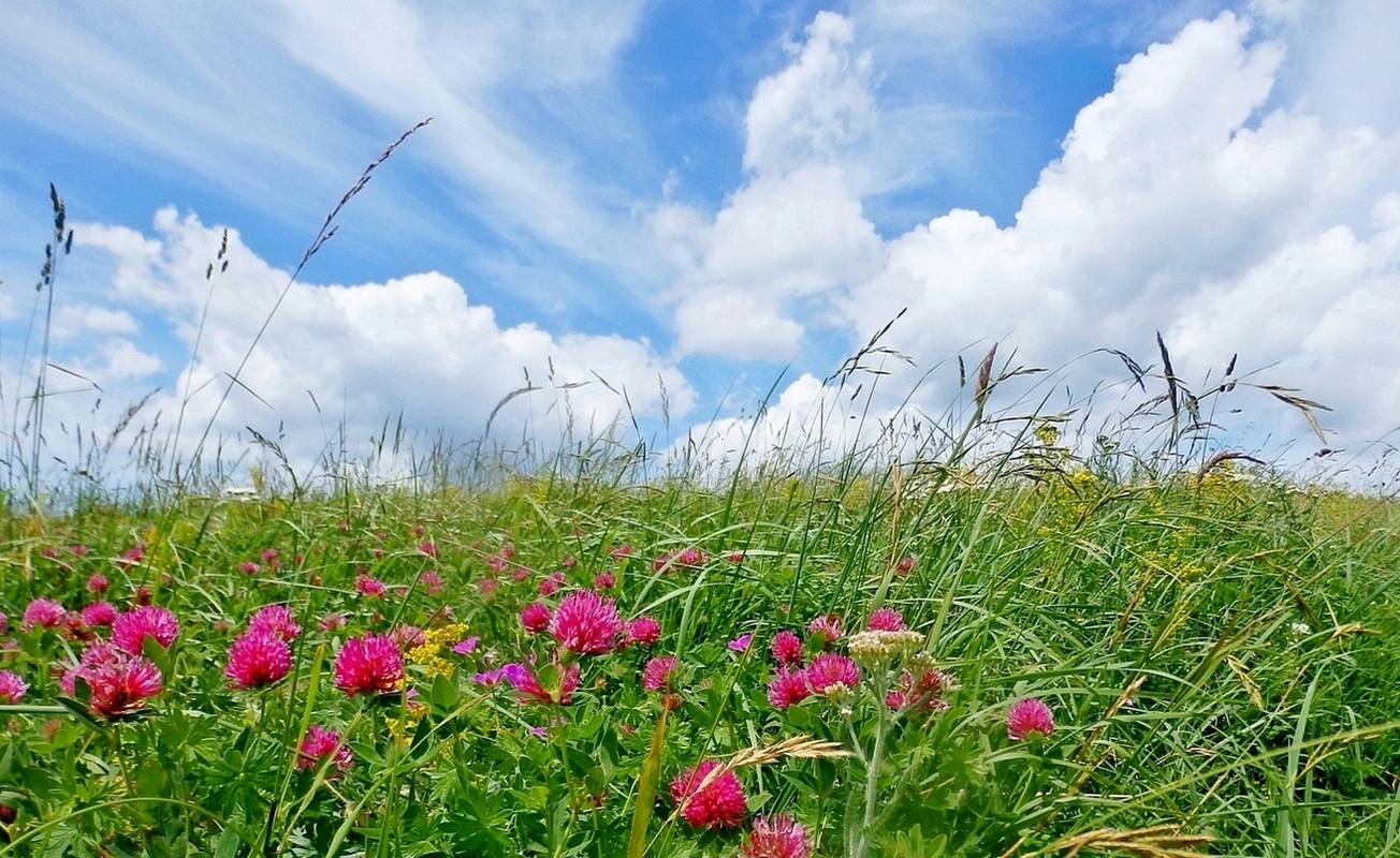 Мемедо, image of landscape/habitat.