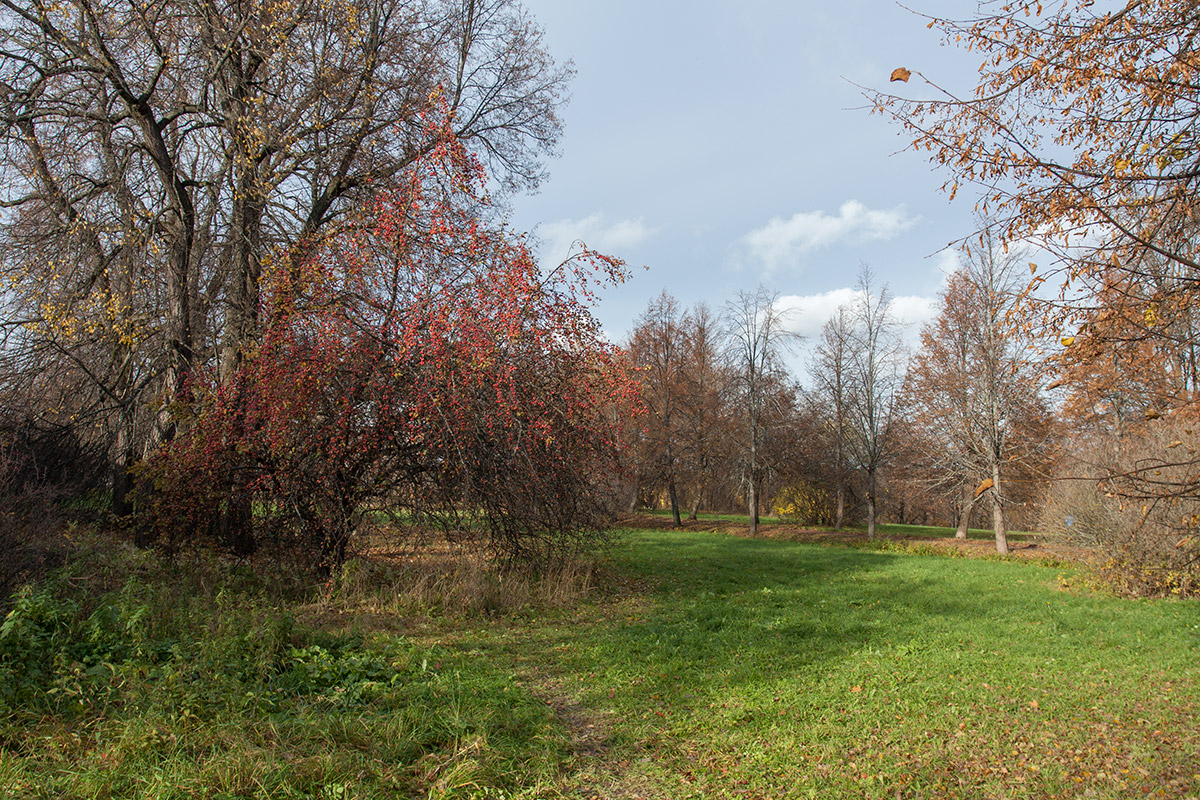Парк "Сергиевка", image of landscape/habitat.