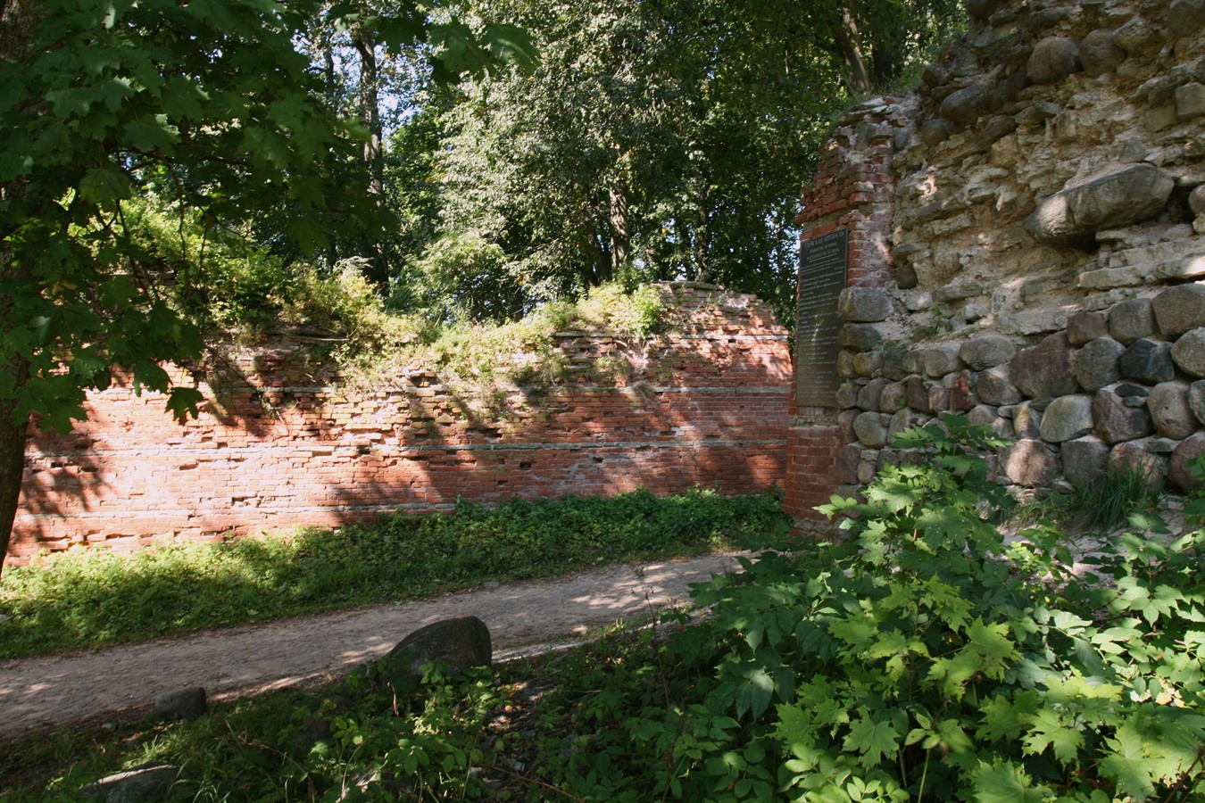 Гдов, image of landscape/habitat.