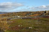 Image of landscape