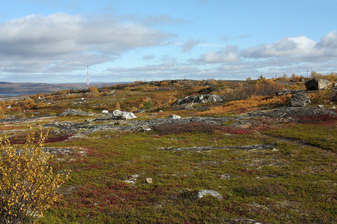 Горелая сопка, image of landscape/habitat.