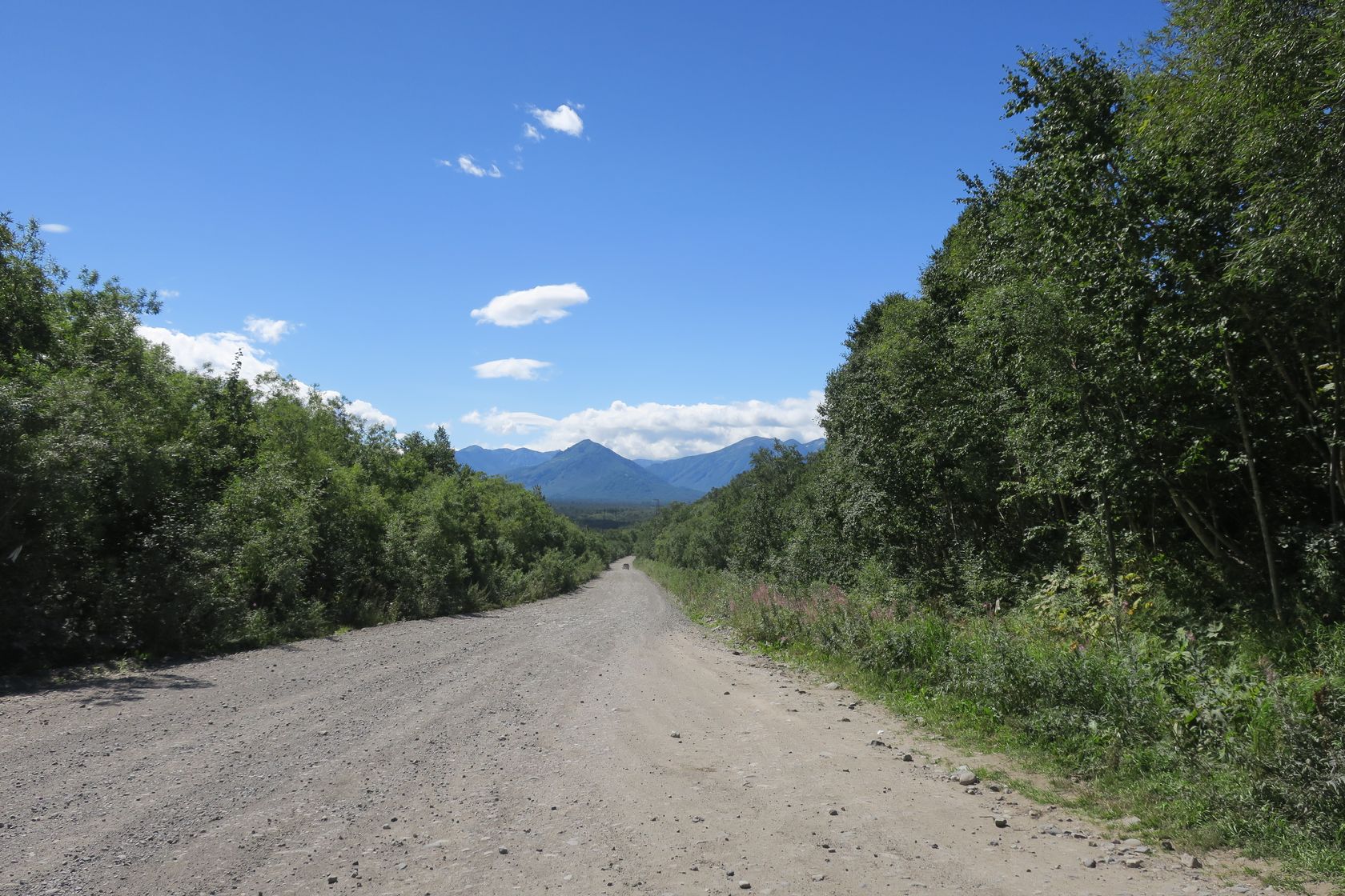 Зайкин ключ, image of landscape/habitat.