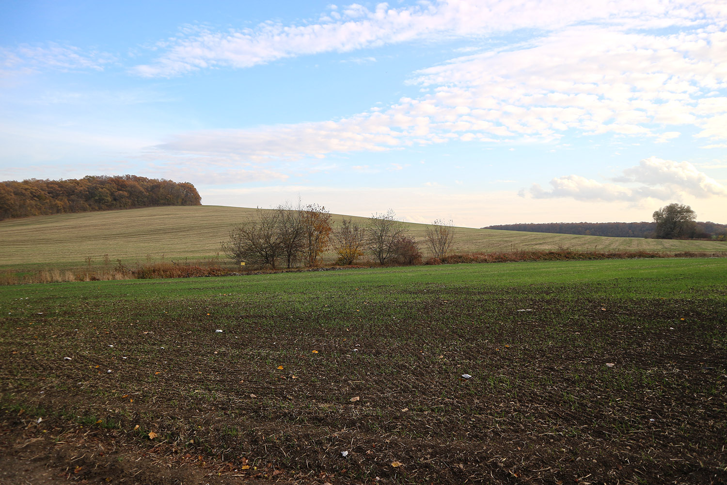 Гапоны, image of landscape/habitat.