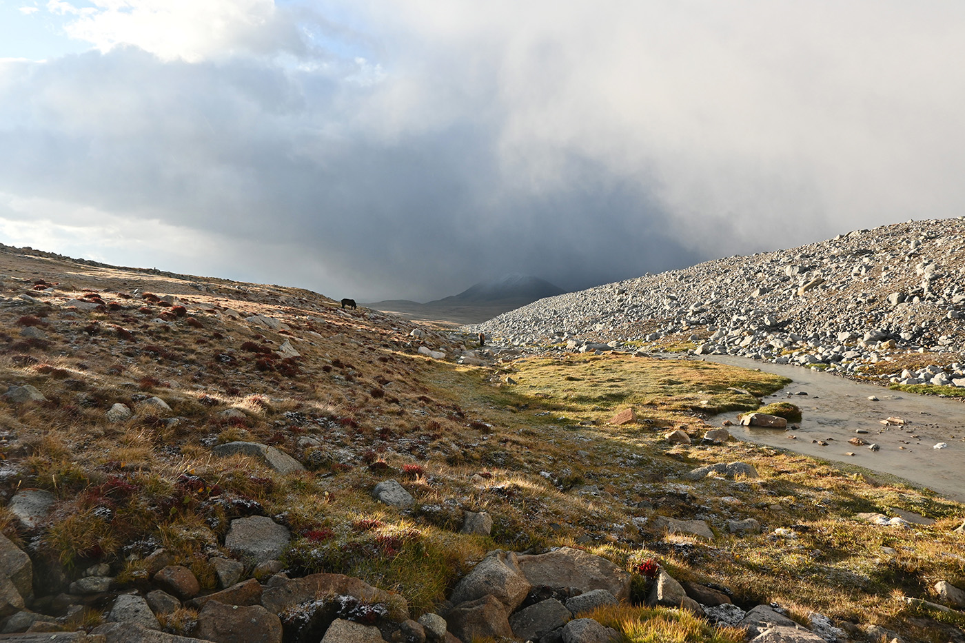 Гора Таван-Богдо-Ула, image of landscape/habitat.