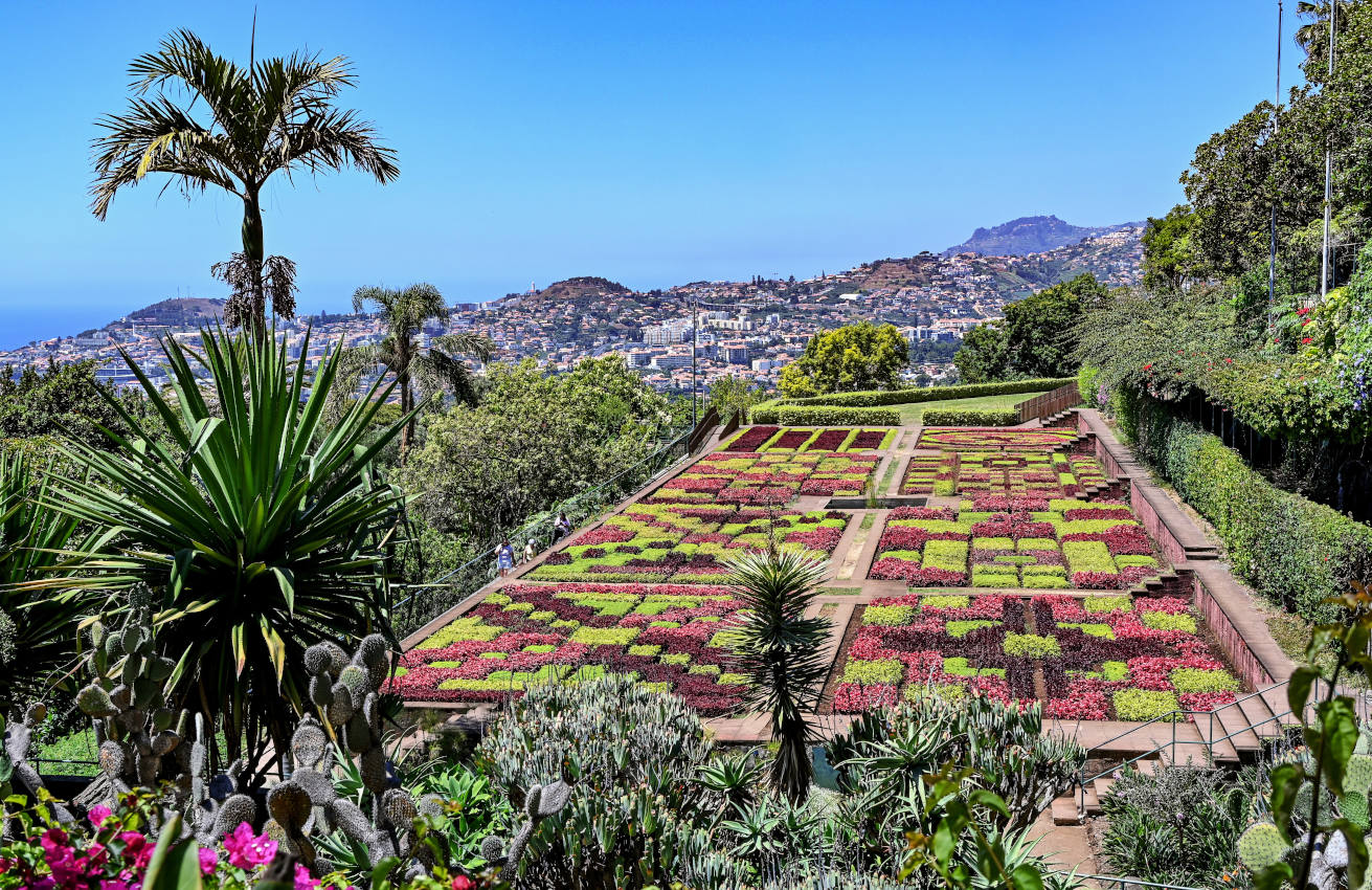 Фуншал, image of landscape/habitat.