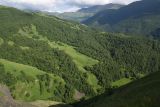Верховья Хашелдойахк, image of landscape/habitat.