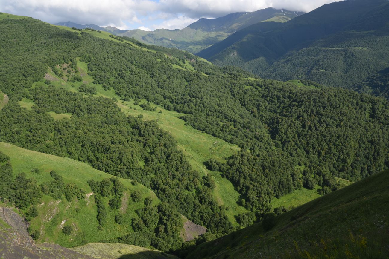 Верховья Хашелдойахк, image of landscape/habitat.