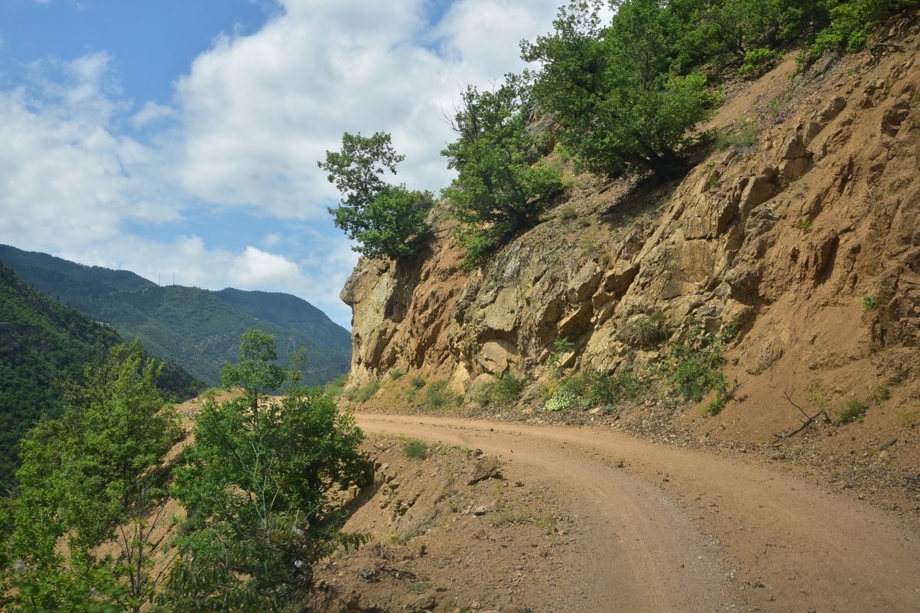 Окрестности деревни Баглик, image of landscape/habitat.