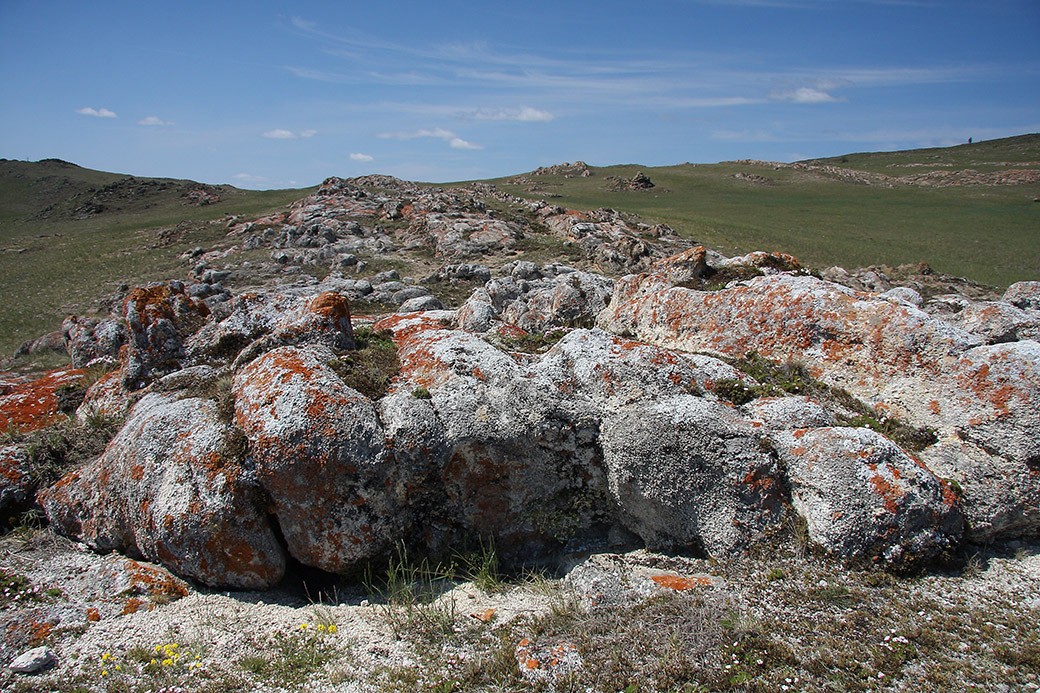 Озеро Холбо-Нур, image of landscape/habitat.