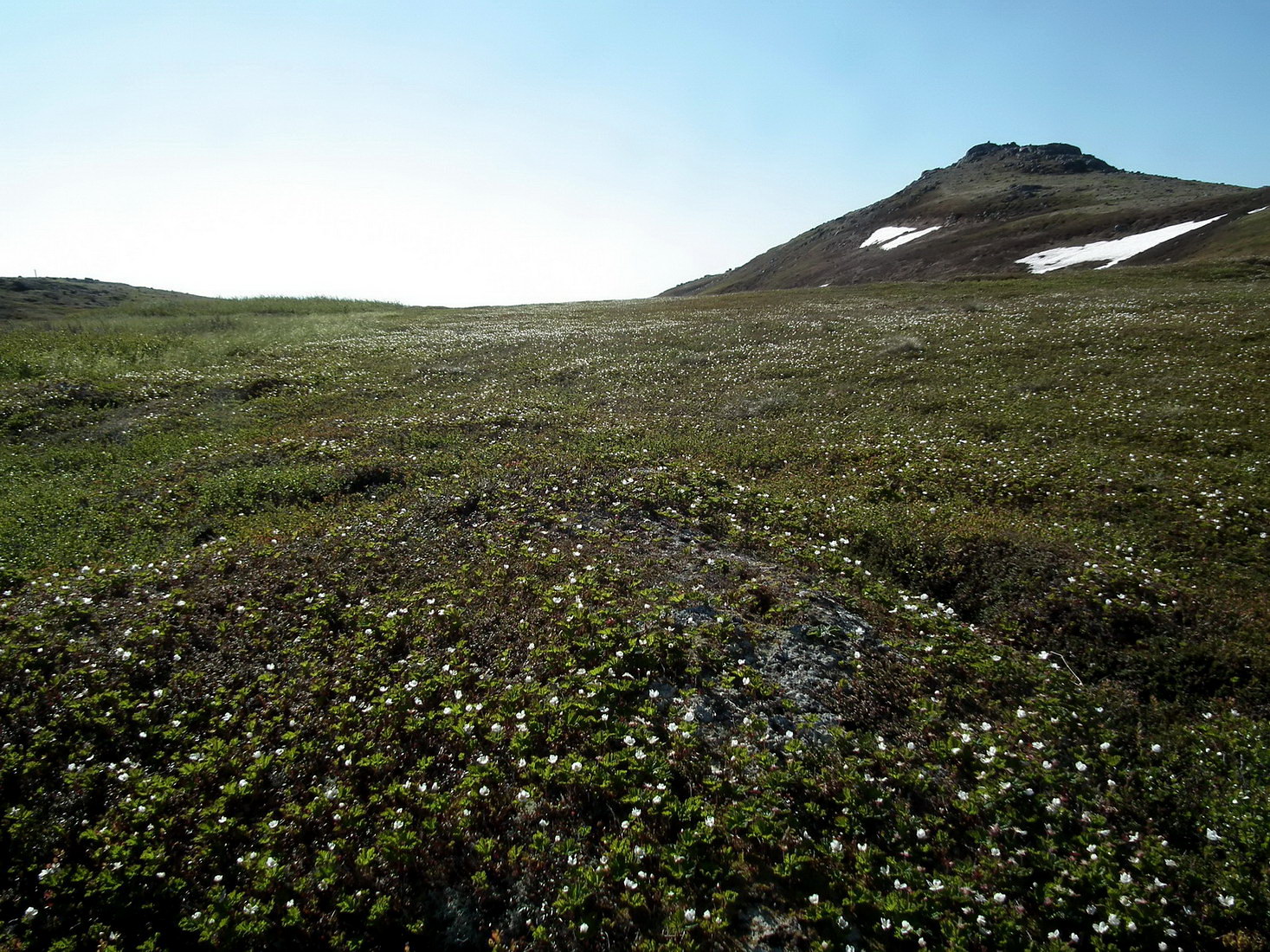 Столбовое озеро, image of landscape/habitat.