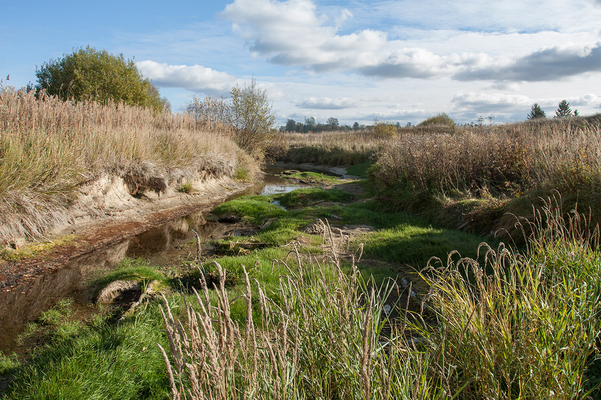 Окрестности Пудости, image of landscape/habitat.