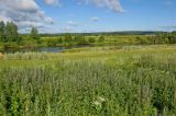 Окрестности урочища Кокуй, image of landscape/habitat.