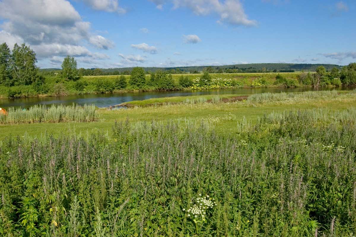 Окрестности урочища Кокуй, image of landscape/habitat.