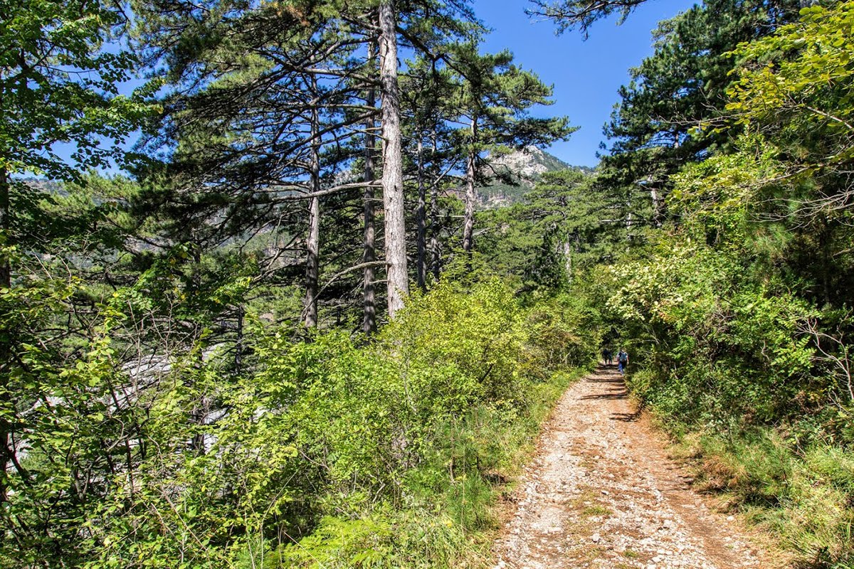 Ущелье Уч-Кош, image of landscape/habitat.