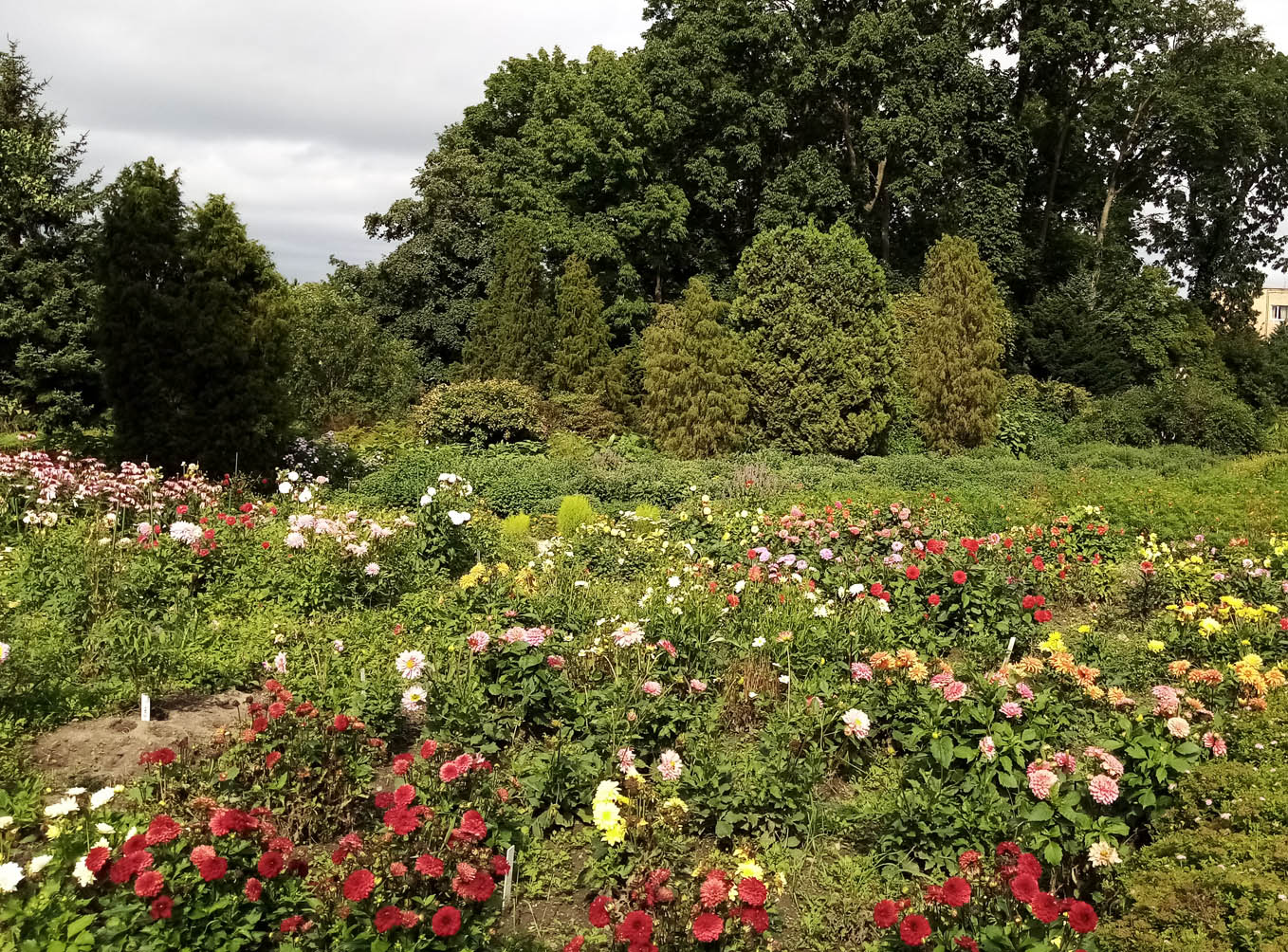 Ботанический сад и его окрестнос, изображение ландшафта.