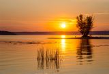 Landscape image