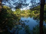 Image of landscape