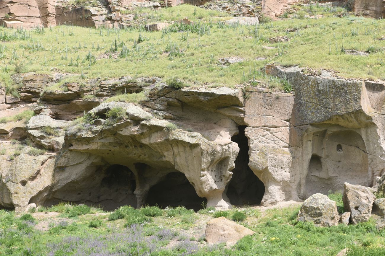 Цахкоцадзор, image of landscape/habitat.