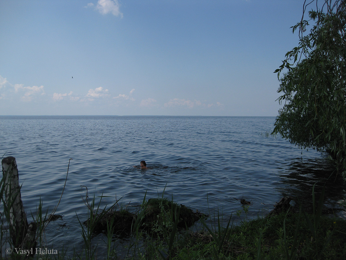 Лебедёвка, image of landscape/habitat.