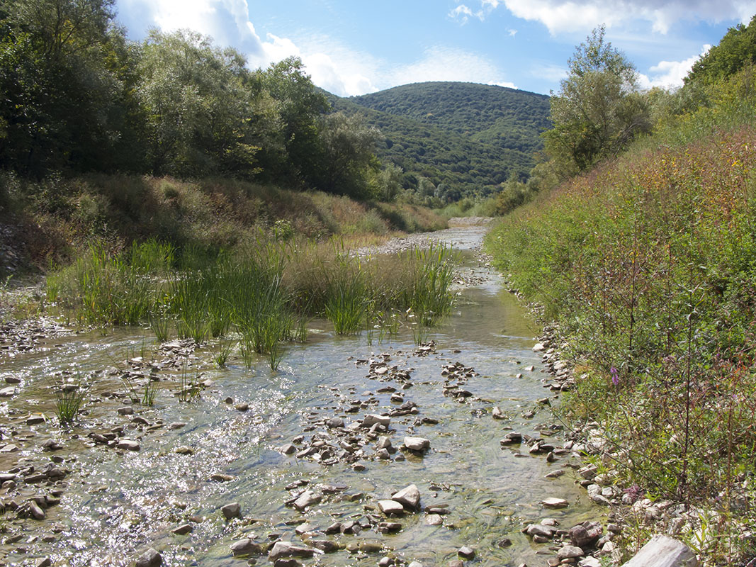 Богого, image of landscape/habitat.