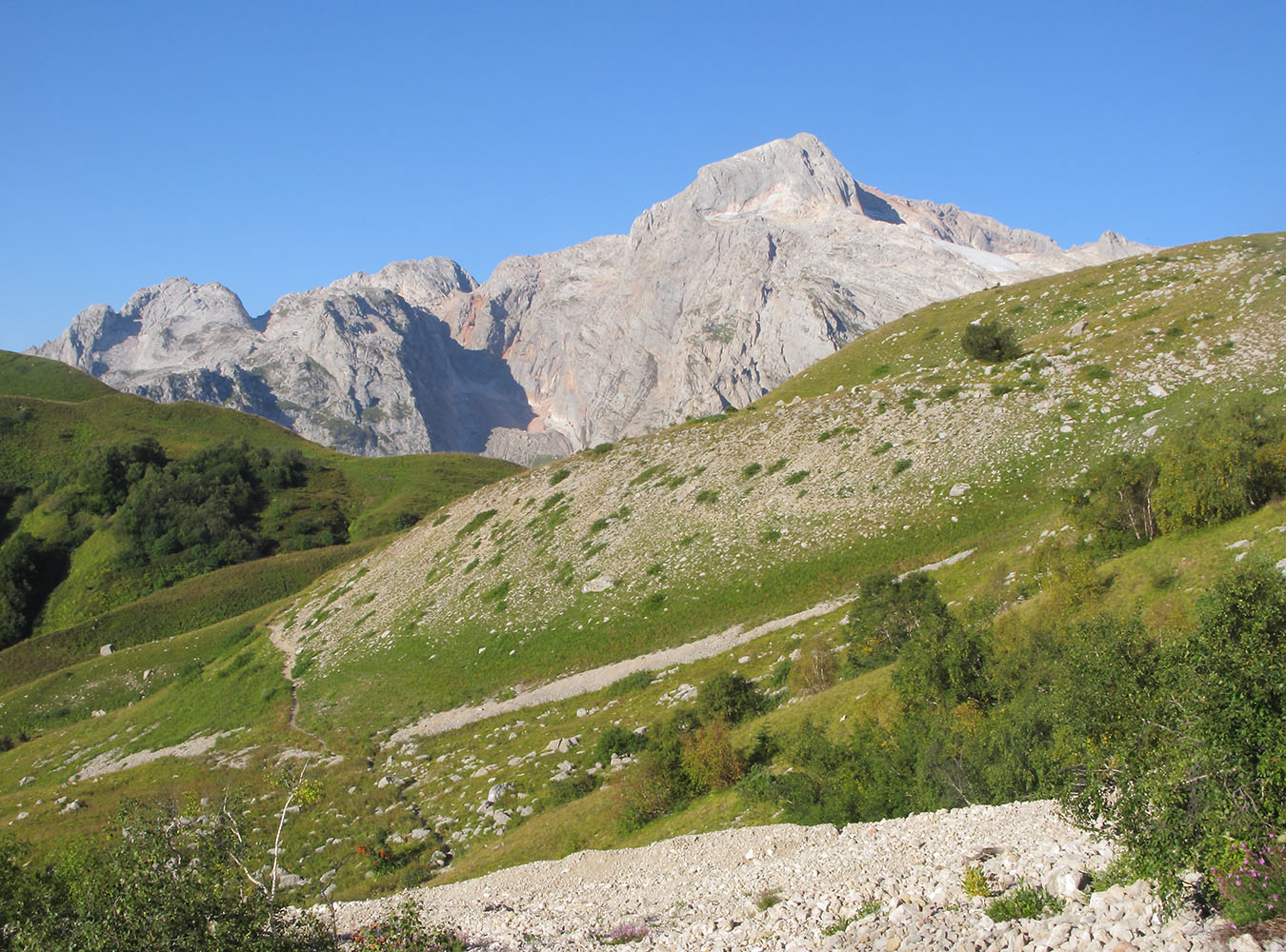 Перевал Армянский, image of landscape/habitat.