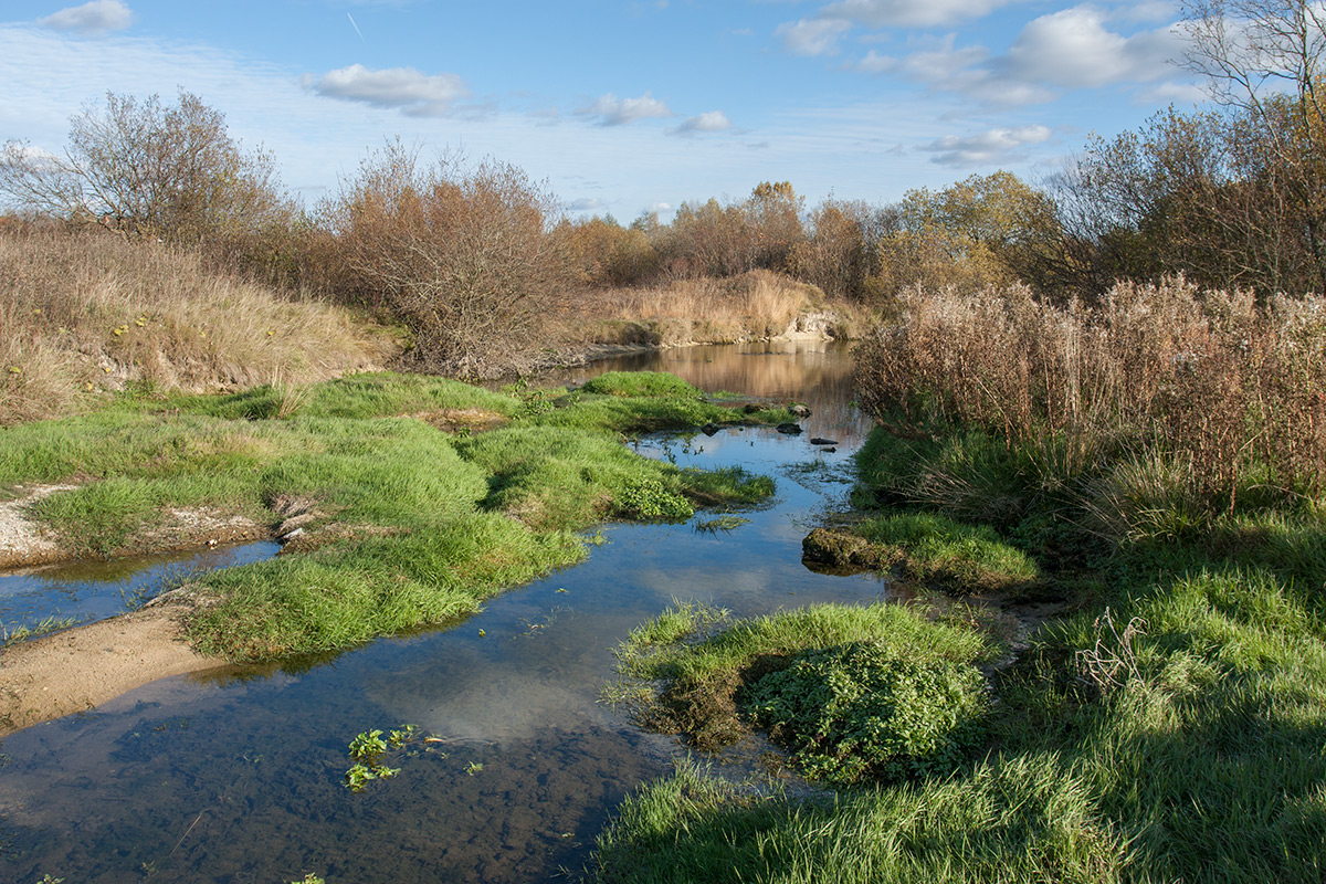 Окрестности Пудости, image of landscape/habitat.