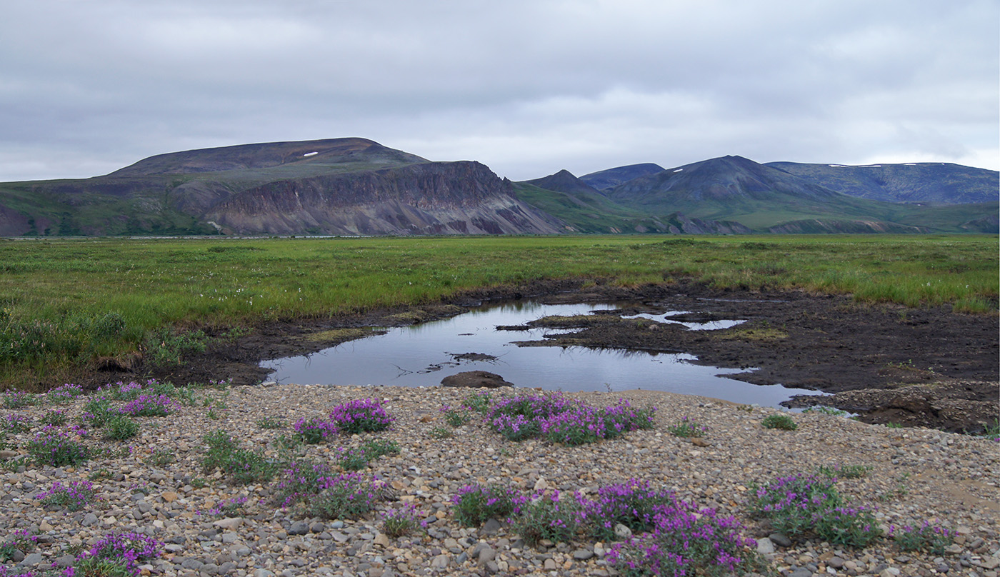 Паляваам река, image of landscape/habitat.